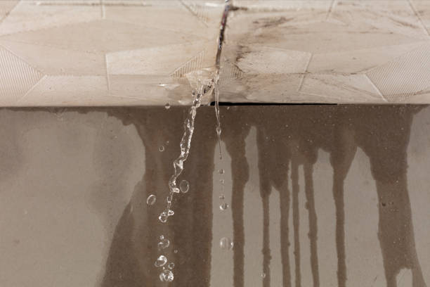Professional Flood Damage Cleanup technician working in Modoc, IL